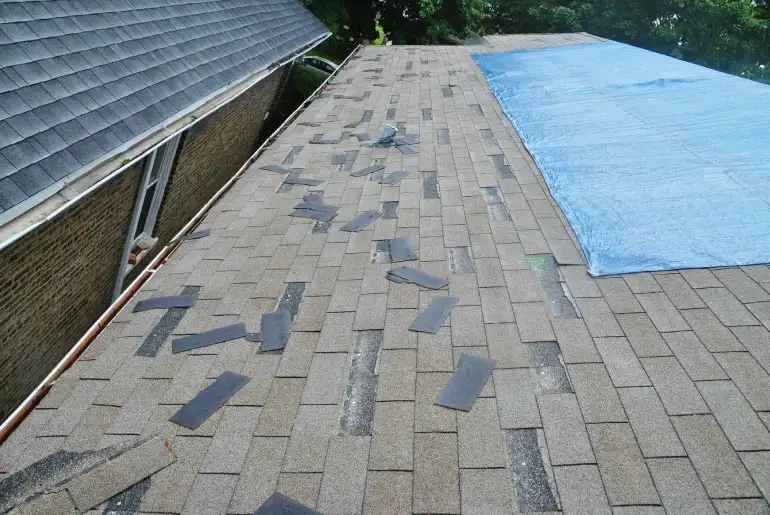 A hail-damaged shingle roof with loose shingles and a blue tarp