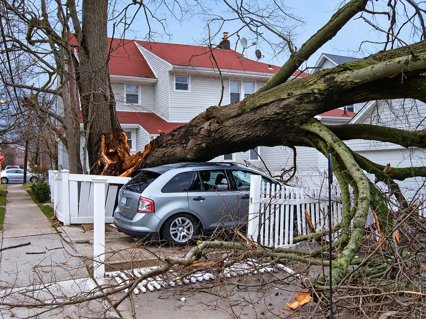 A storm-felled tree lying across a car and a fence in front of a house